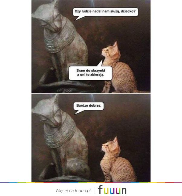 Suchar codzienny #1163