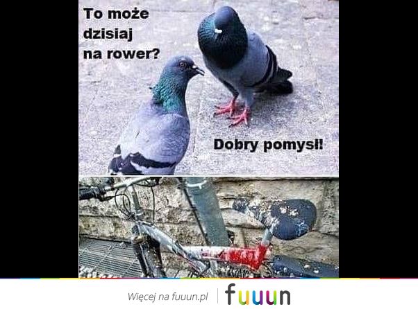 Suchar codzienny #1089