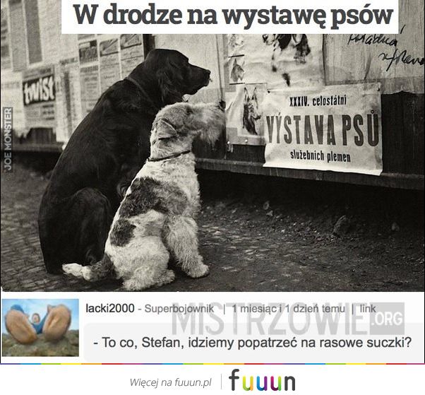 Mistrzowie #2687