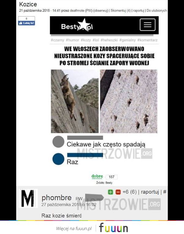 Mistrzowie #4071