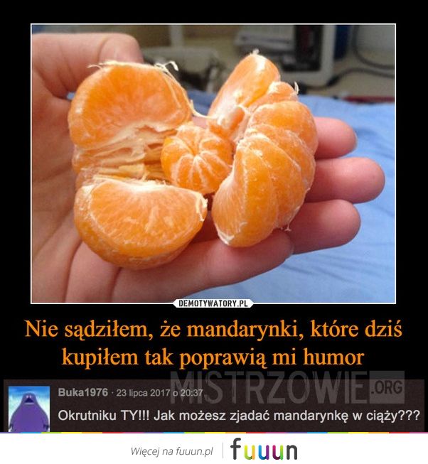 Mistrzowie #1498