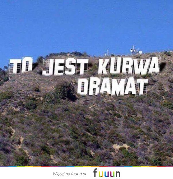 Suchar codzienny #499