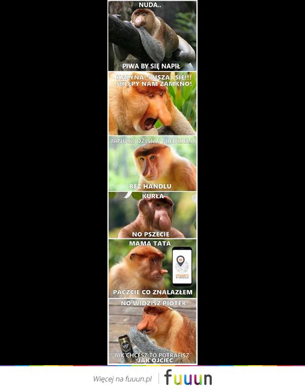 Suchar codzienny #460