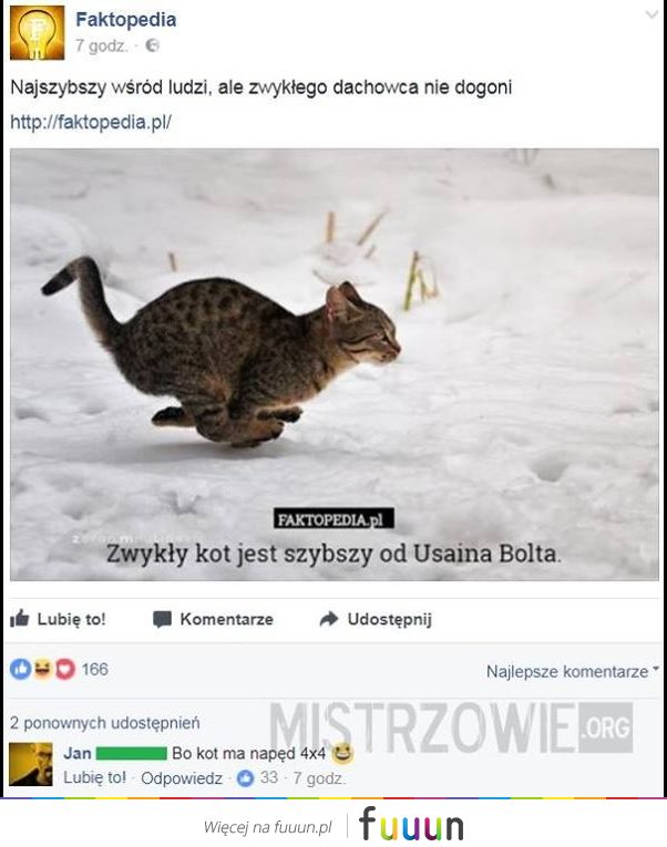Mistrzowie #1488