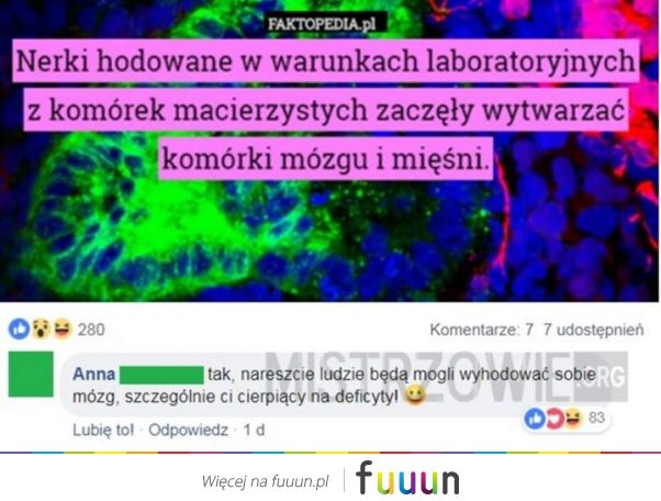 Mistrzowie #4191