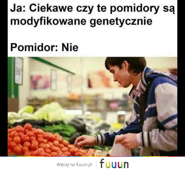 Suchar codzienny #203