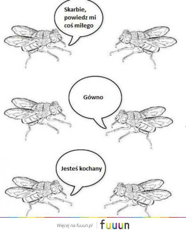 Suchar codzienny #64