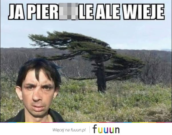 Ja Jebie #2738