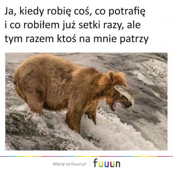 Suchar codzienny #669