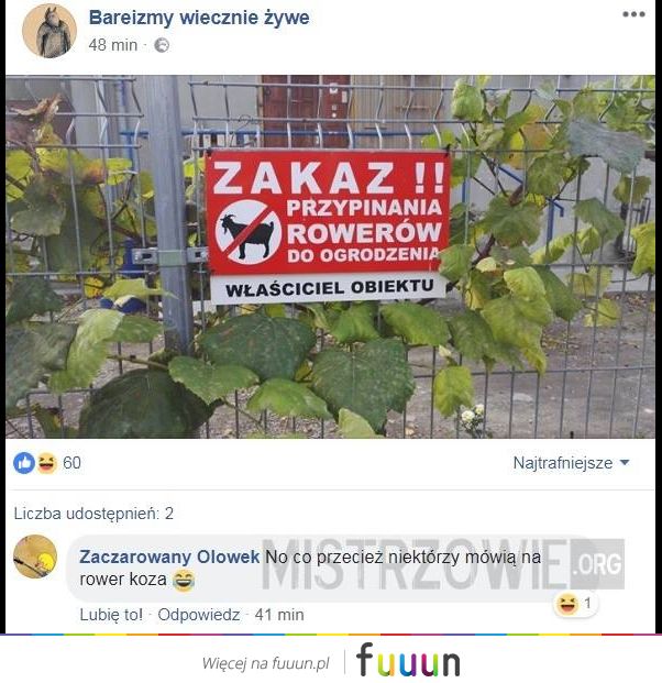 Mistrzowie #3257