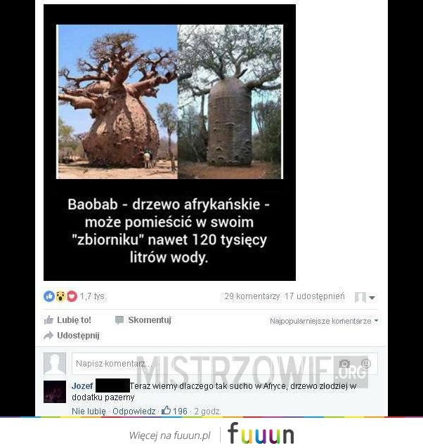 Mistrzowie #708