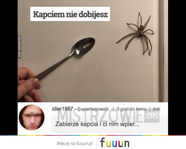 Mistrzowie #2584