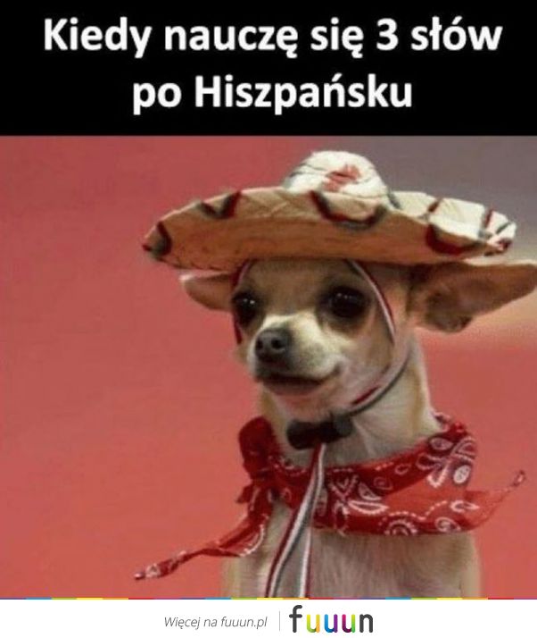 Suchar codzienny #634