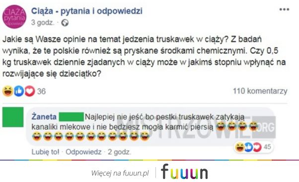 Mistrzowie #5181