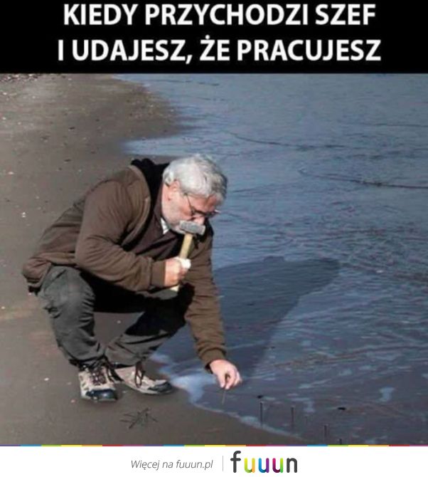 Suchar codzienny #1040