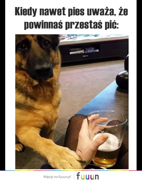 Ja Jebie #1214