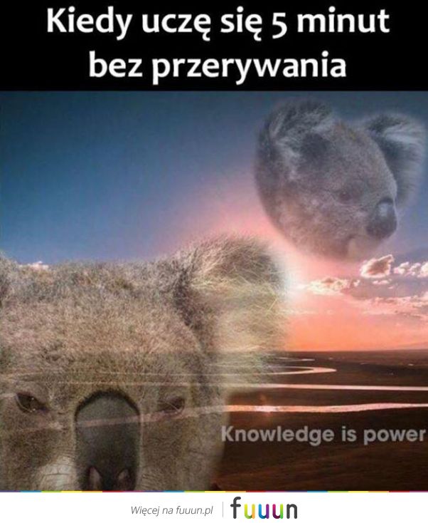 Suchar codzienny #1200