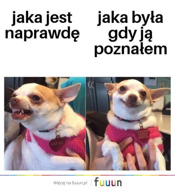 Suchar codzienny #468