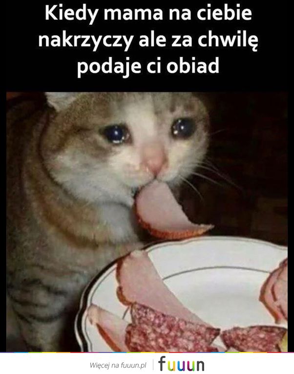 Suchar codzienny #624