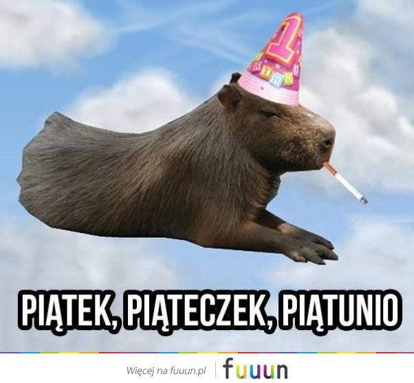 Suchar codzienny #150