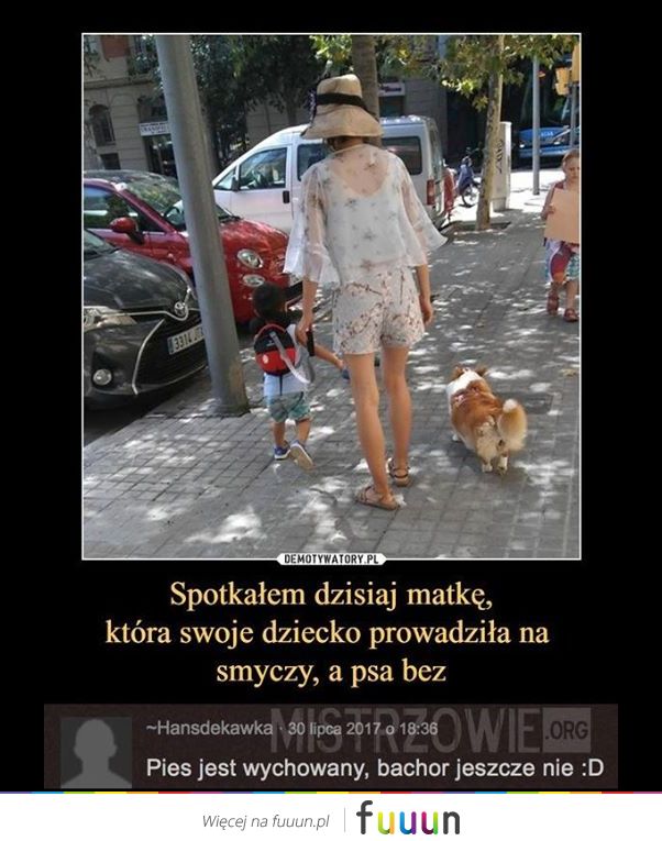 Mistrzowie #1520