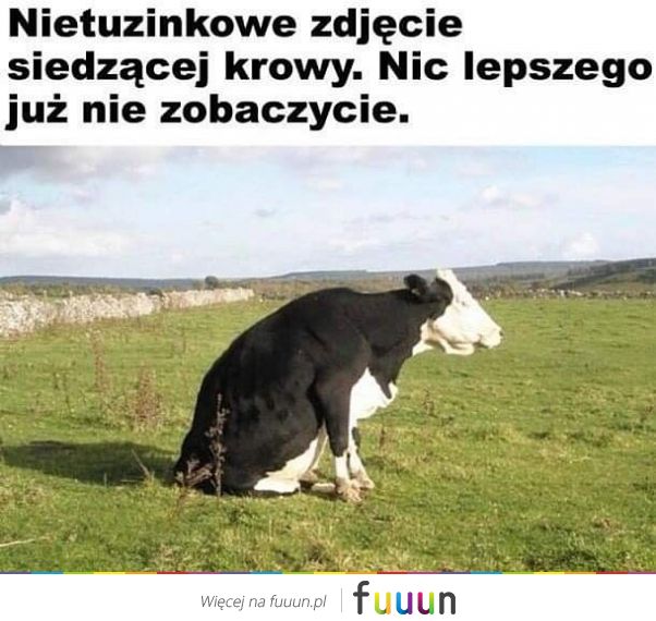 Suchar codzienny #1353