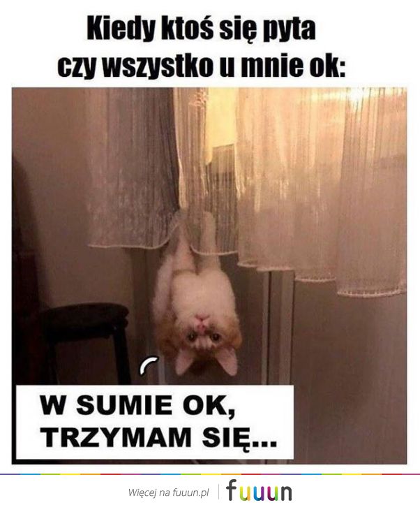 Suchar codzienny #1160