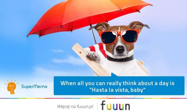 Suchar codzienny #196