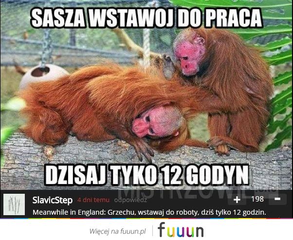 Mistrzowie #2692