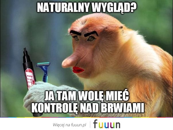 Ja Jebie #2801