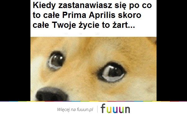 Suchar codzienny #442