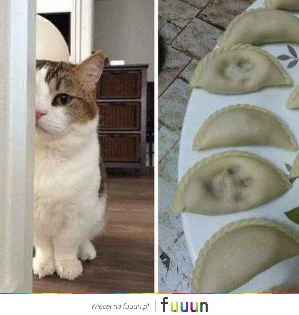 Suchar codzienny #1352