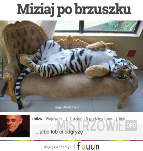 Mistrzowie #3968