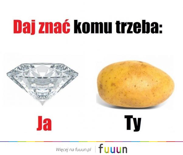 Suchar codzienny #542