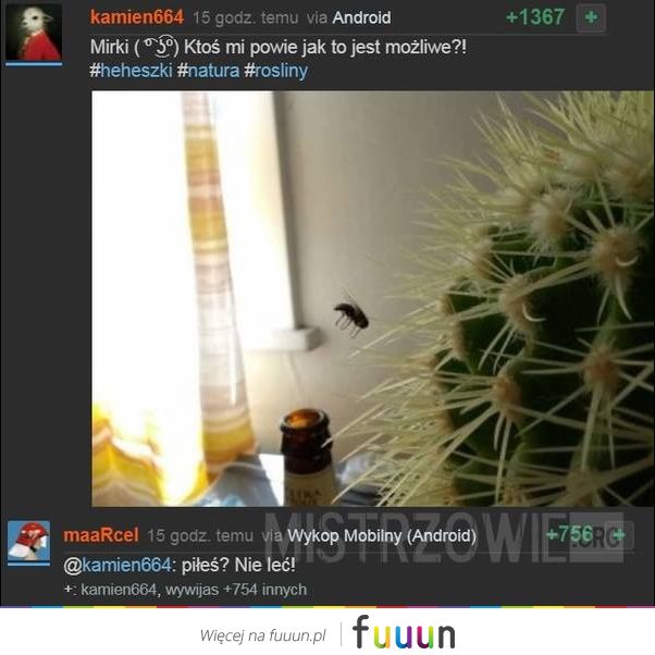 Mistrzowie #3268