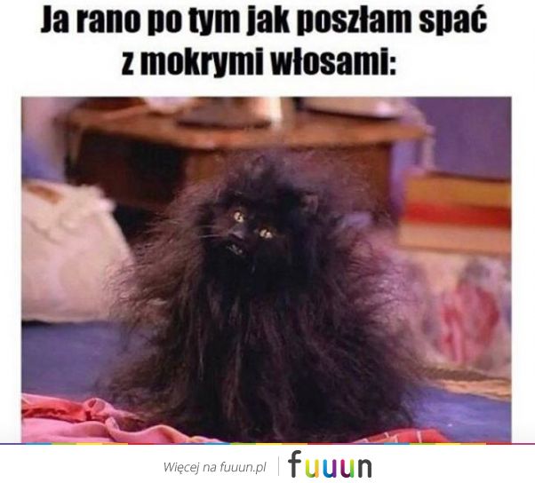 Suchar codzienny #1196