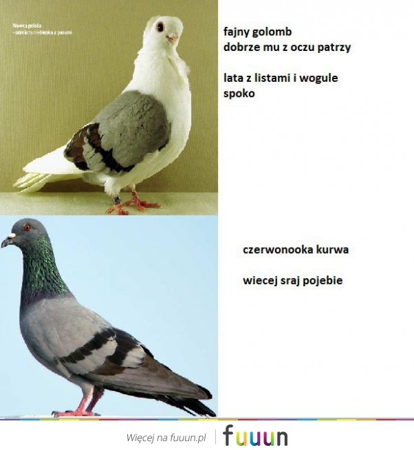 Gołompy