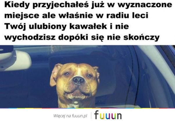 Suchar codzienny #1169