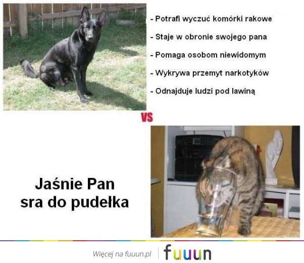 Ja Jebie #1228