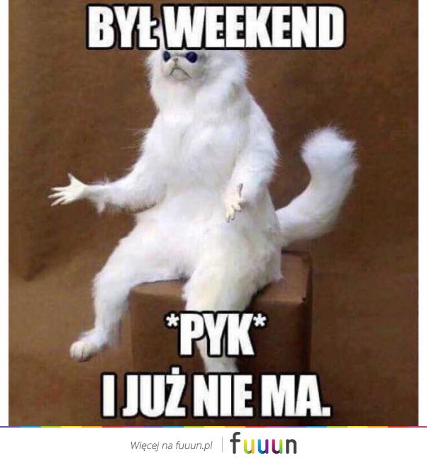 Suchar codzienny #485