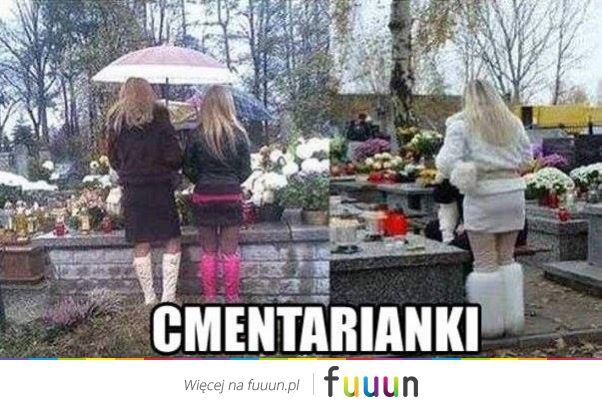 Suchar codzienny #591