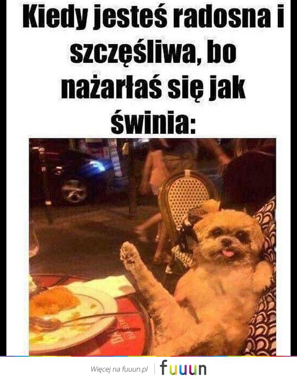 Suchar codzienny #1174