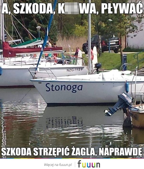 Ja Jebie #2479