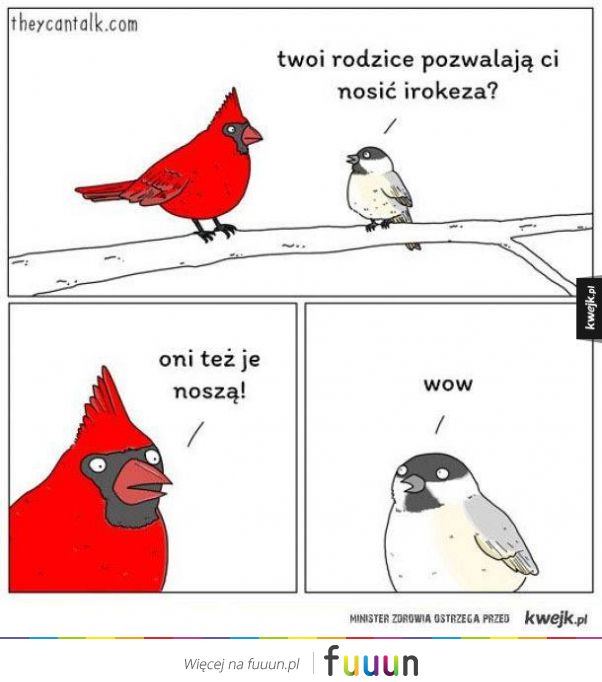 Granice Internetu #220