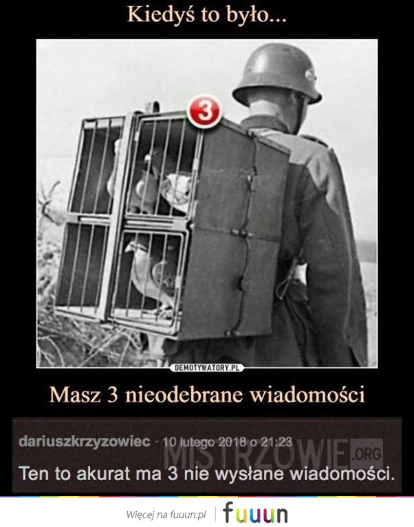 Mistrzowie #2586