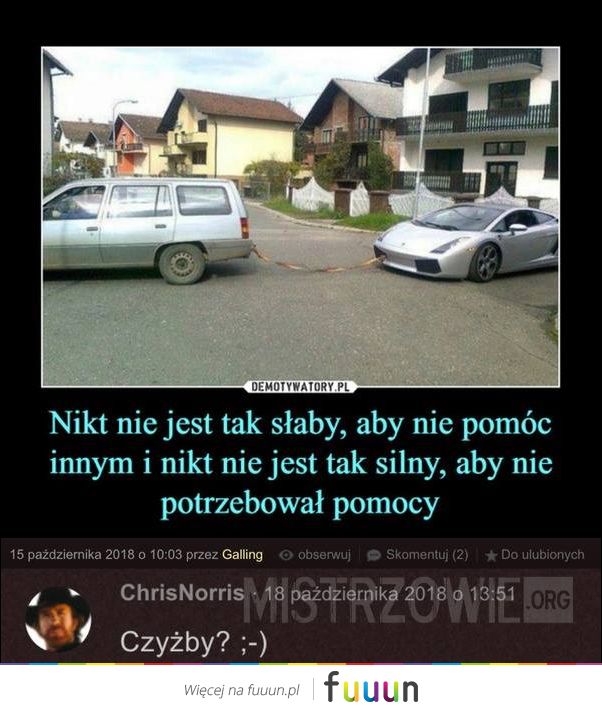 Mistrzowie #3994