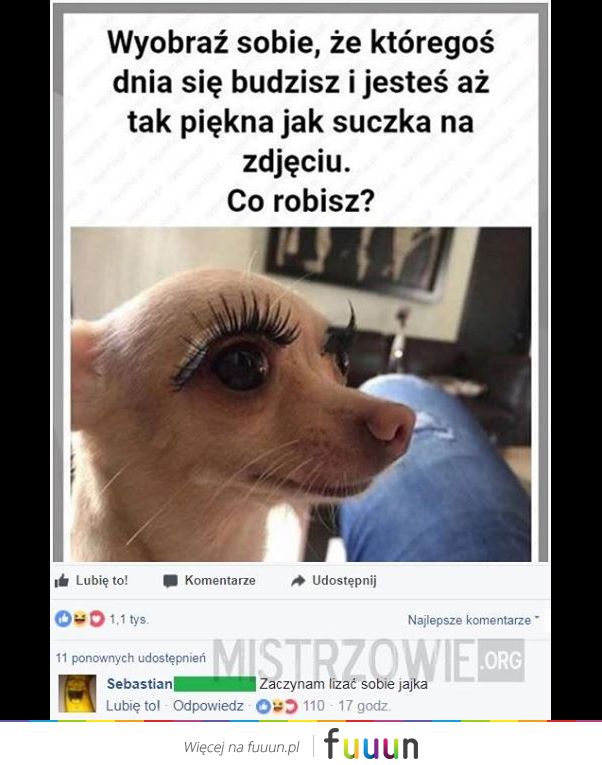 Mistrzowie #1491