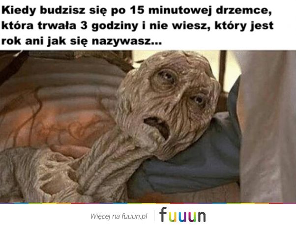 Suchar codzienny #427