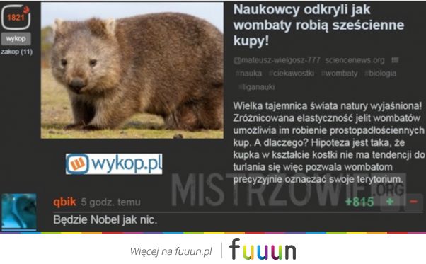 Mistrzowie #4160