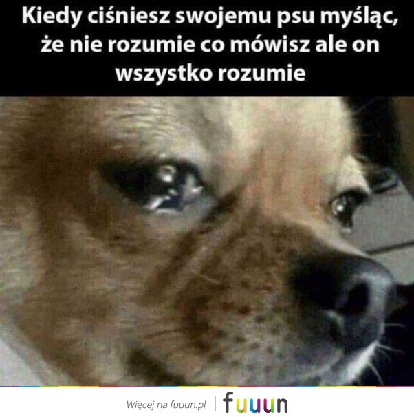 Suchar codzienny #639
